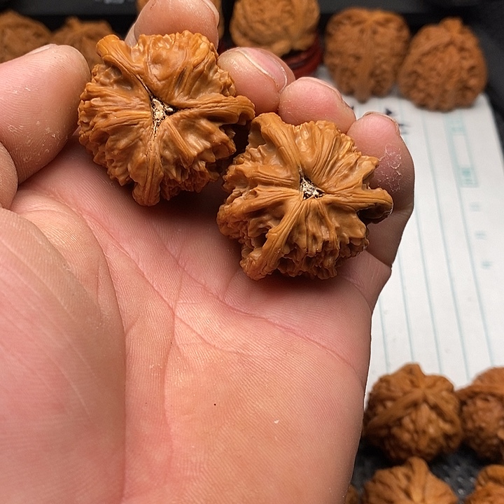 手串/手链核桃白狮子6