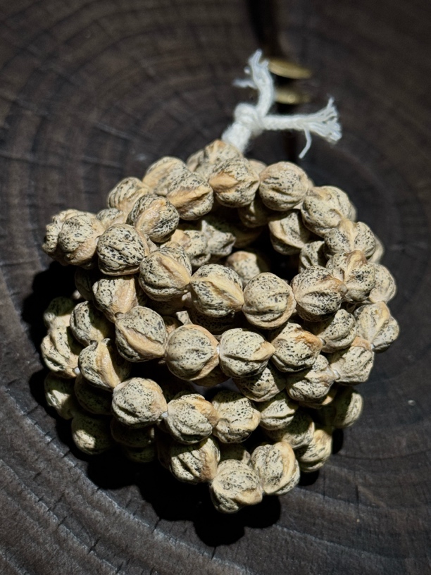 |柏香籽|百香籽|文玩|莲花|