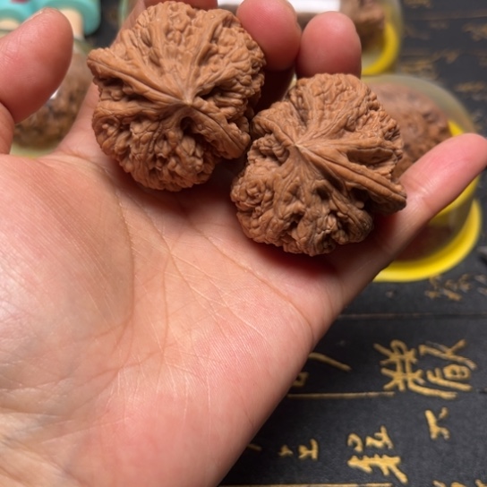 大粗筋异形全品无修