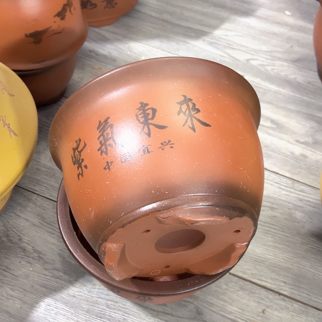 20+20紫气东来花盆花盆花盆花盆花盆