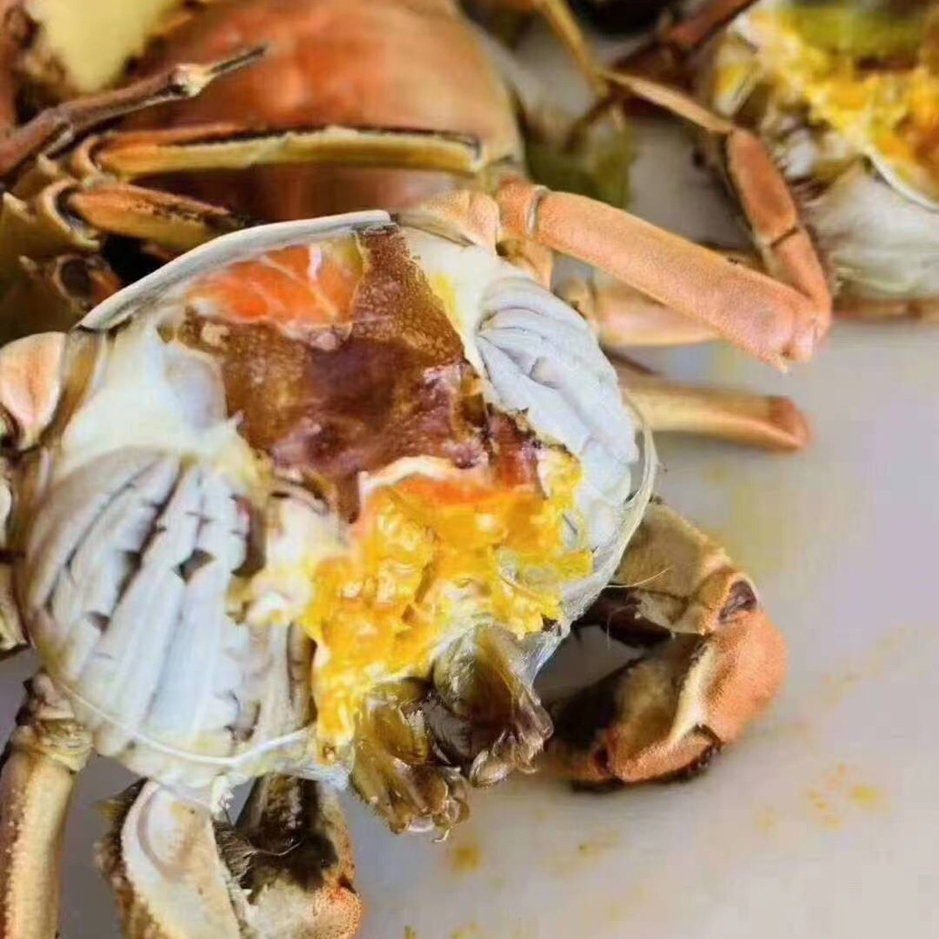 【活蟹】宁河特产七里海河蟹鲜活公母蟹1.0-1.3两2斤3斤装顺丰包邮