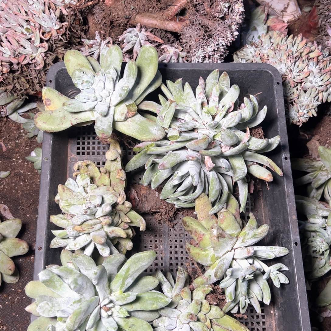 5934哈哈哈哈哈哈哈