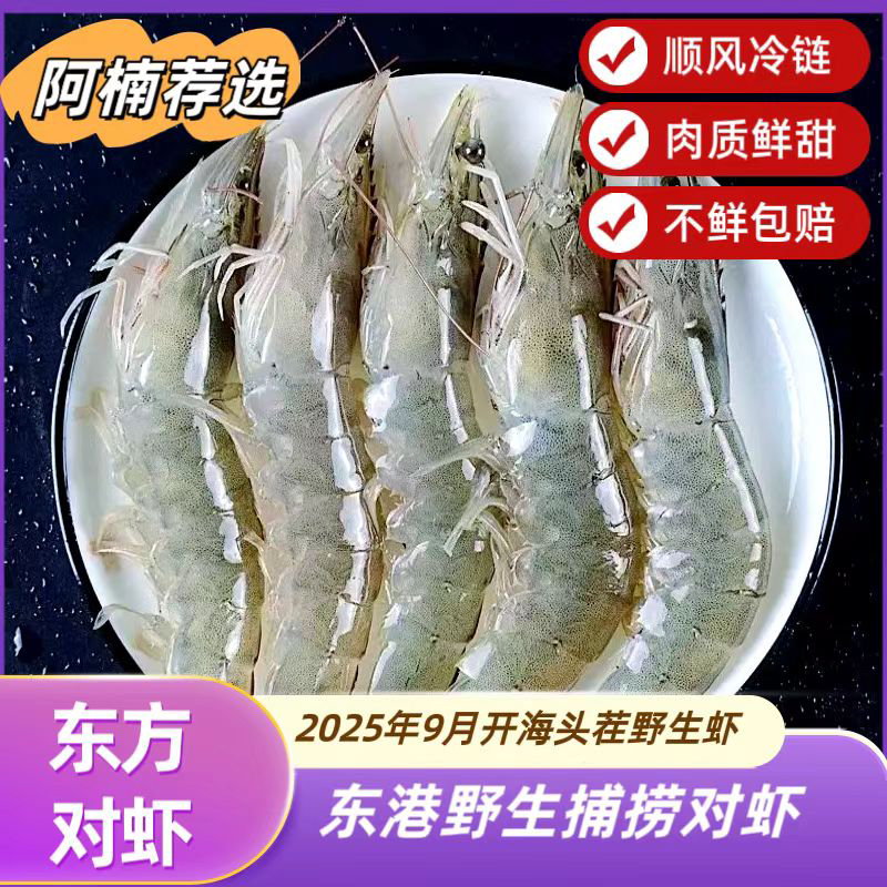 丹东东港 东方虾 海水对虾 