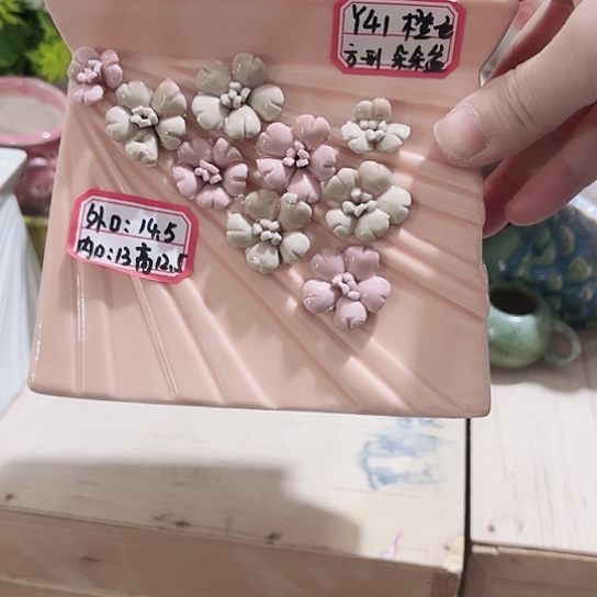 花盆111111111111111