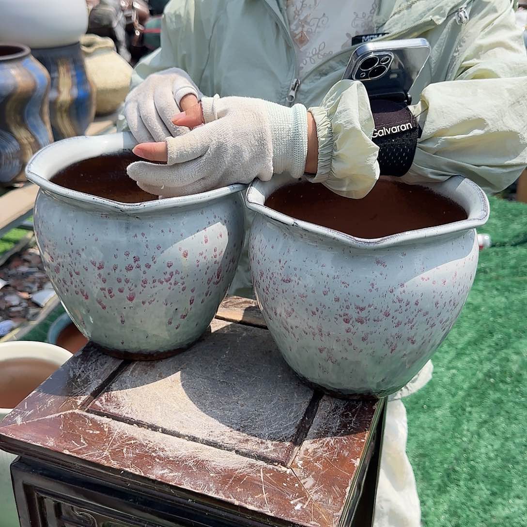 紫砂花盆王嫂花盆0618-欧粉粉高20口20