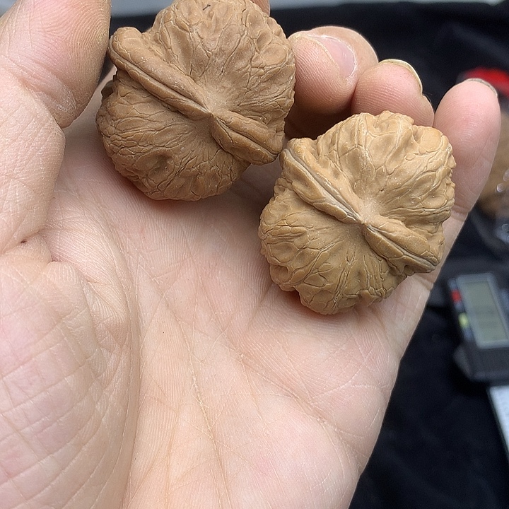 文玩核桃吊坠肚39 元宝