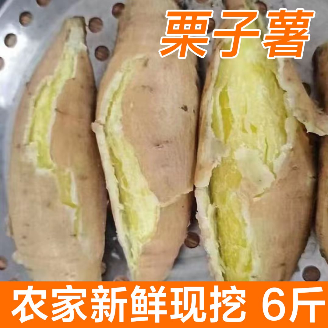 湛江吴川番薯栗子薯农家自种现挖新鲜板栗薯