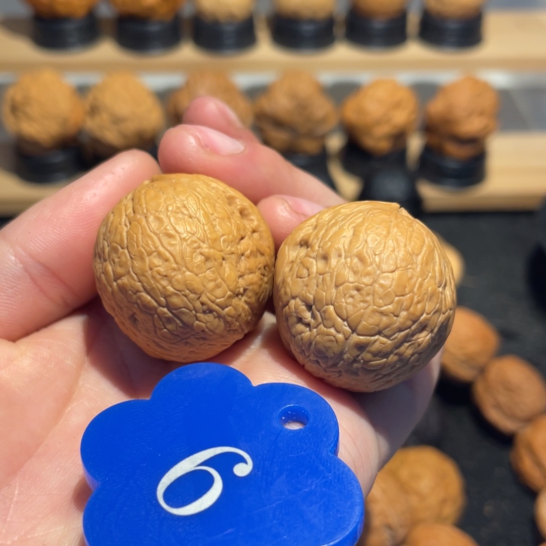 特色蛇皮球猫耳朵核桃31。   