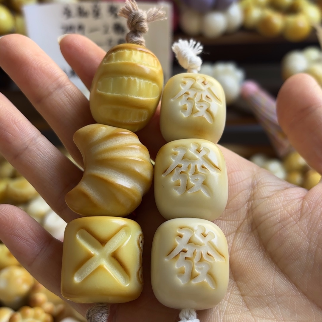 吊坠菩提根/象牙果全品