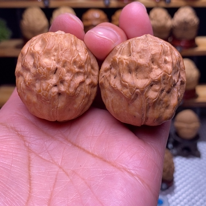 木质类云铁鹿鱿39号