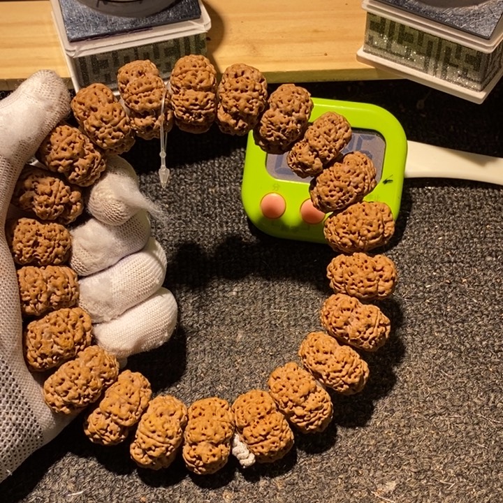 真***雪金刚菩提吊坠您可以把他当成孩子看待