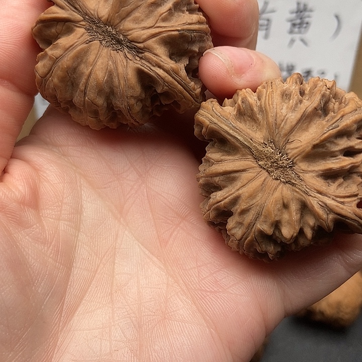 *****大大大大大大狮子