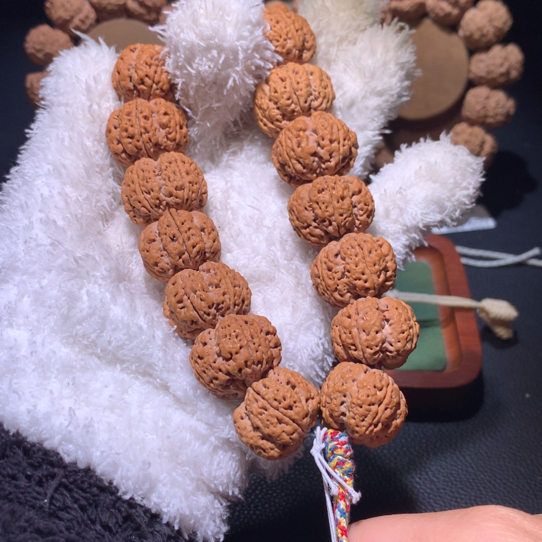 手串金刚菩提25尺寸琅琊