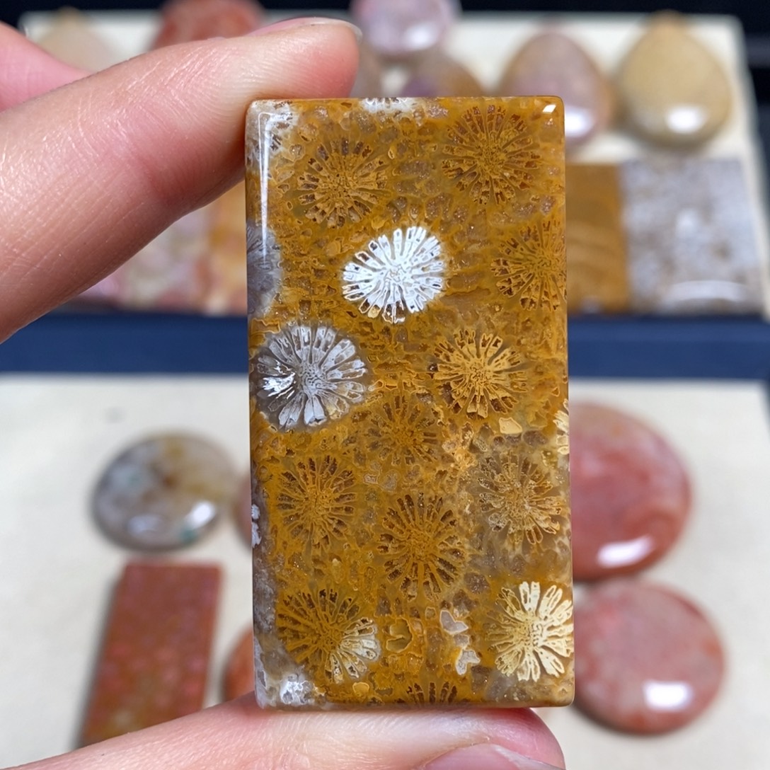 硅化玉未镶嵌吊坠