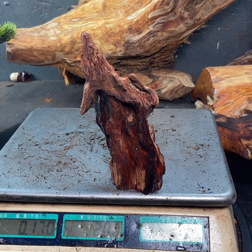 【闪购商品】黄花梨/降香黄檀清****0