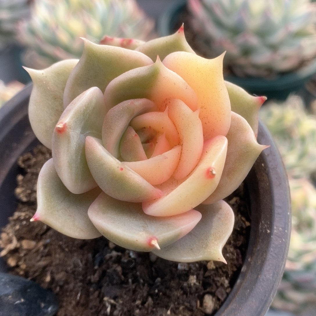 154贝加尔湖锦锦锦锦锦