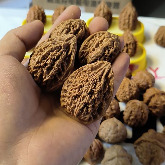 文玩核桃吊坠鸭嘴兽买一送一