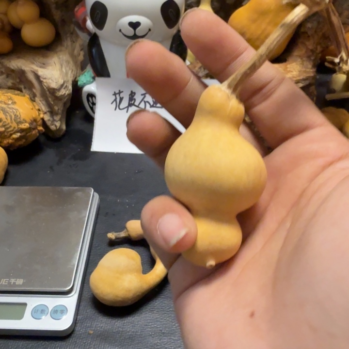 S***t65……………………………………