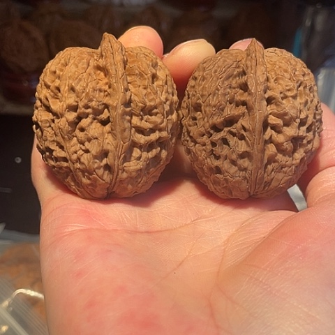 文玩核桃把件铁将军带彩42左右磕尖