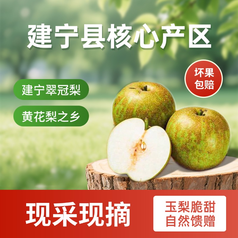 【顺丰包邮】福建三明建宁翠冠梨新鲜现摘应季水果脆甜多汁细腻