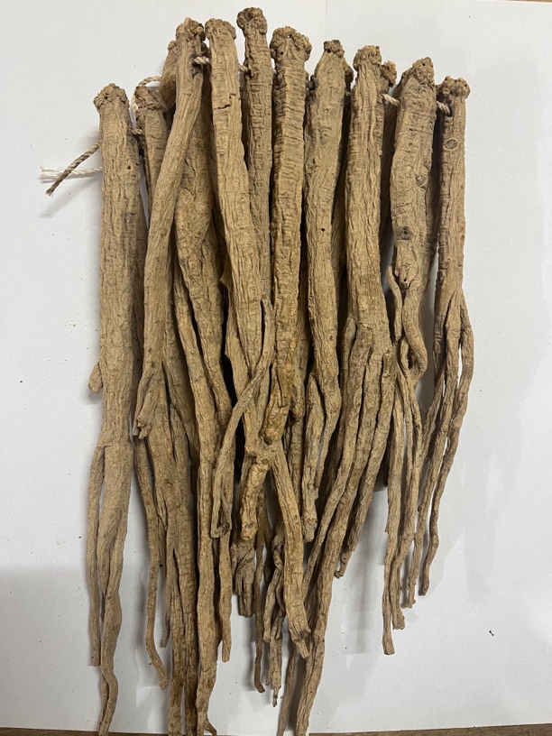 甘肃眠县 精选老党参 无薰硫特大条250克起