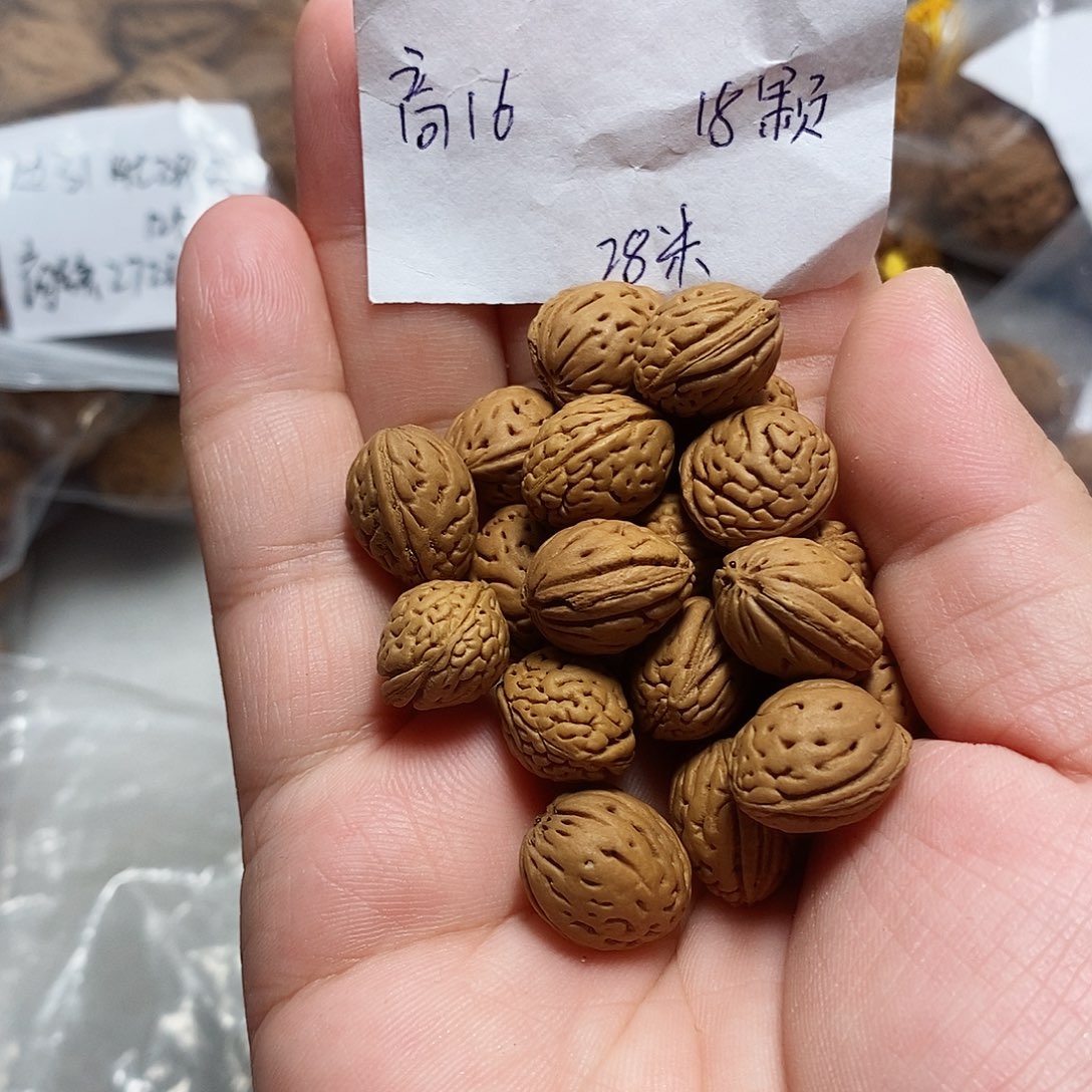 核桃手串/手链黄金叶小金豆单圈