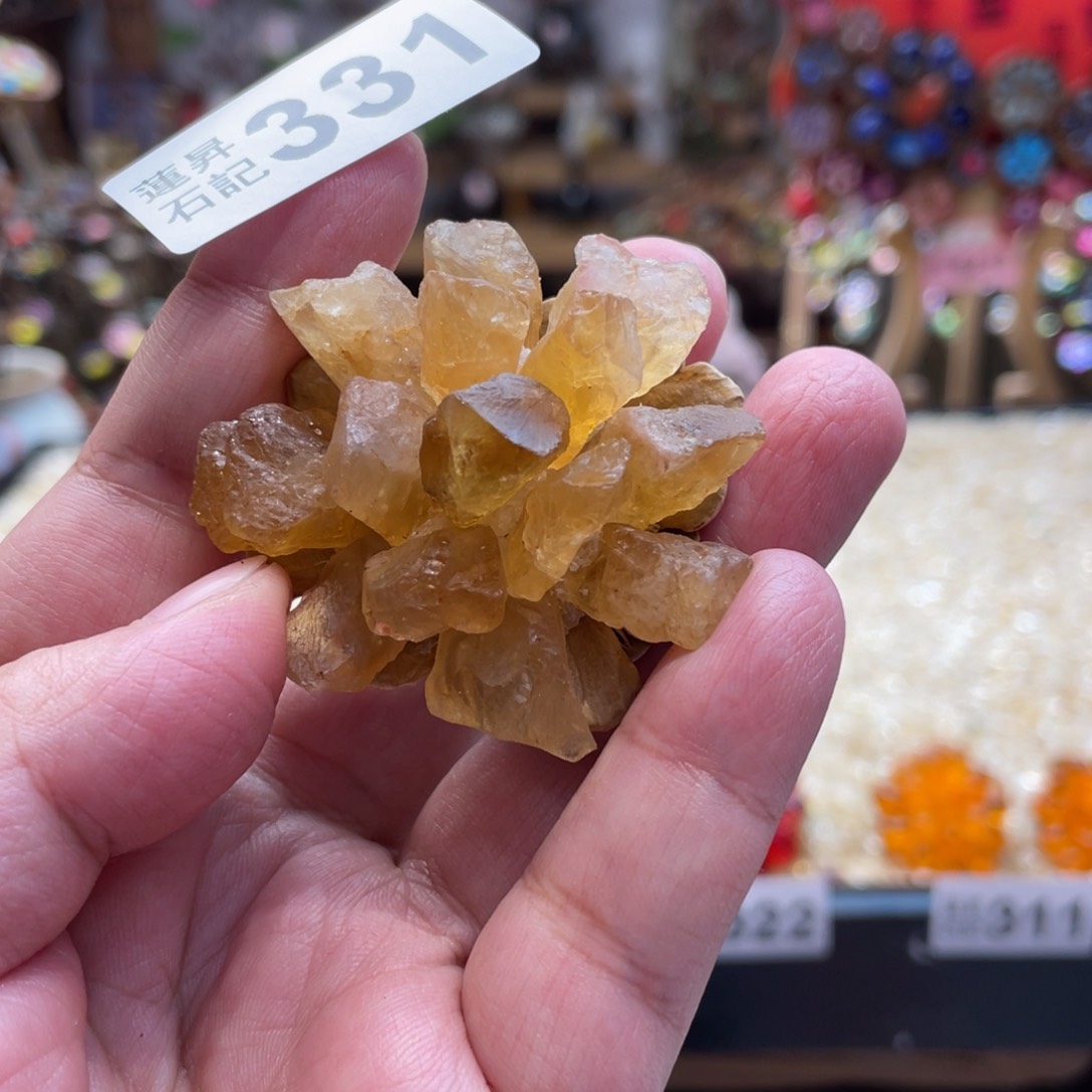 核桃木/黑胡桃（胡桃木）331