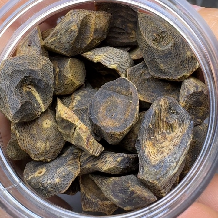 楠木奇楠沉水树钉壳子45.6克