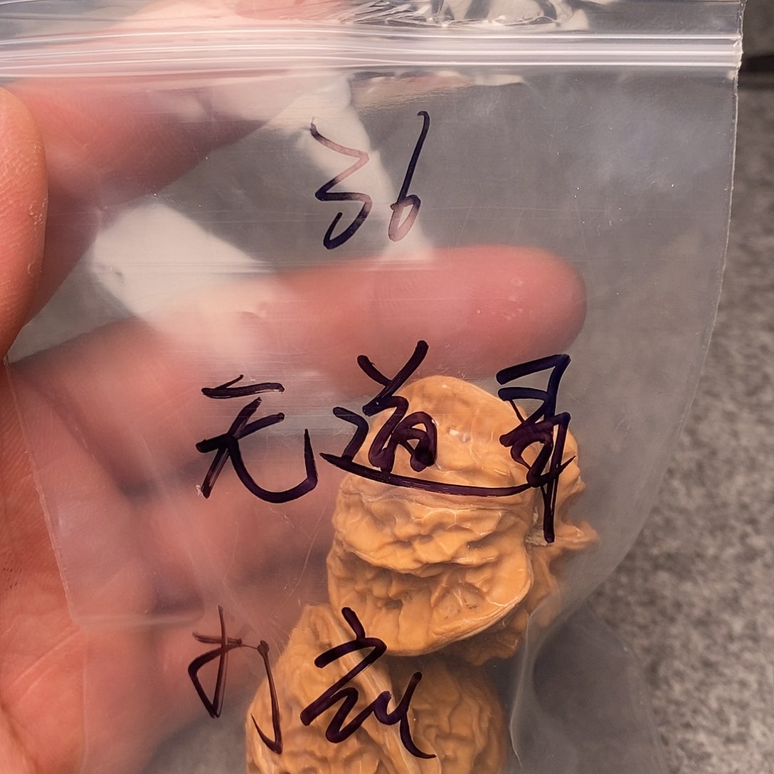 文玩核桃把件无*哥三棱