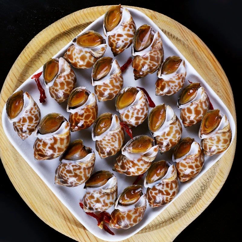 【拍2斤送2斤】鲜活速冻花螺新鲜海鲜螺类鲜甜急冻锁鲜无沙无水11/18【于芬】