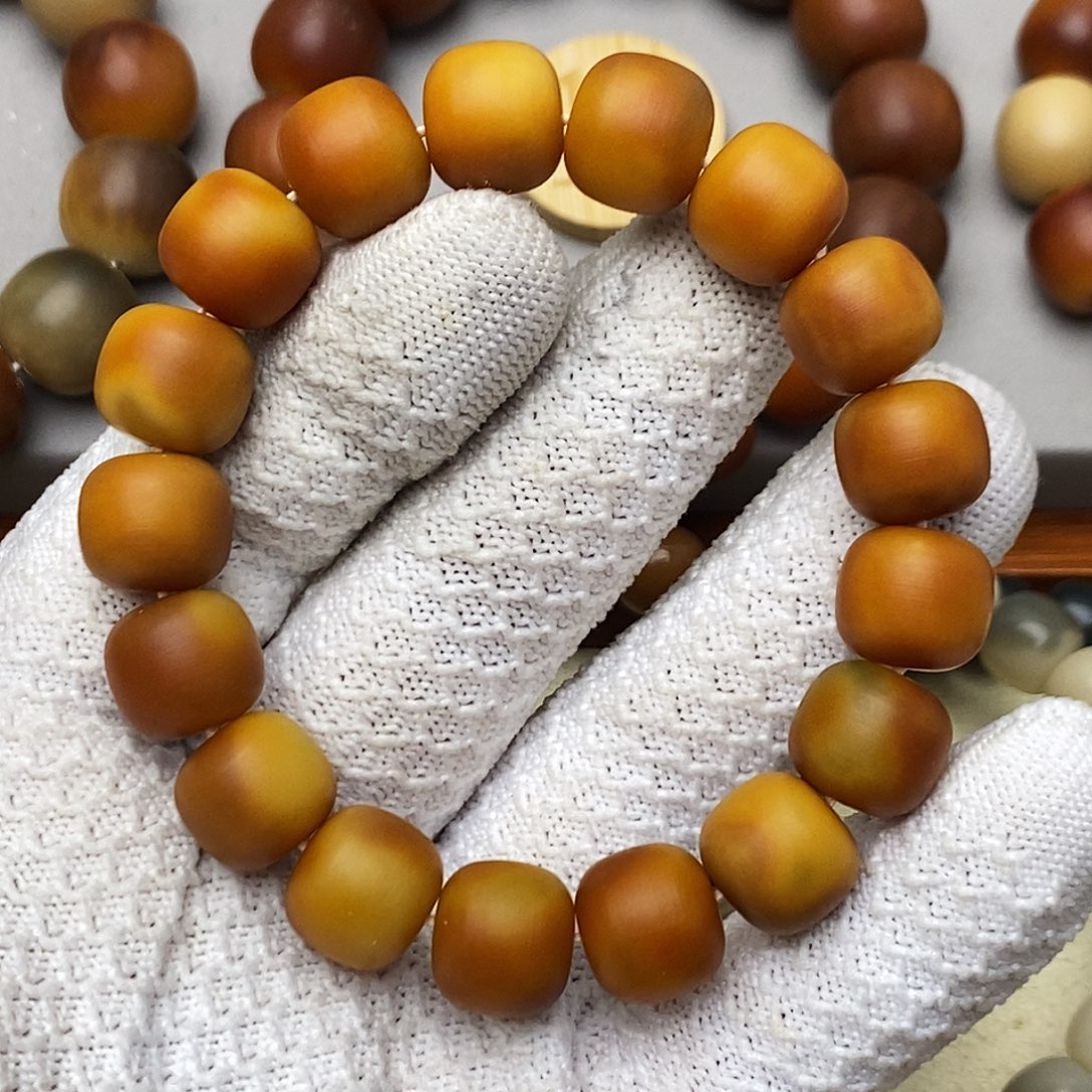 @***@菩提根/象牙果手串
