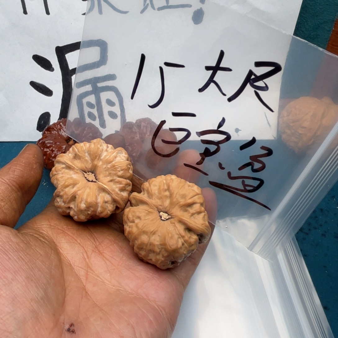 W4 oyrouorruruorouurouro