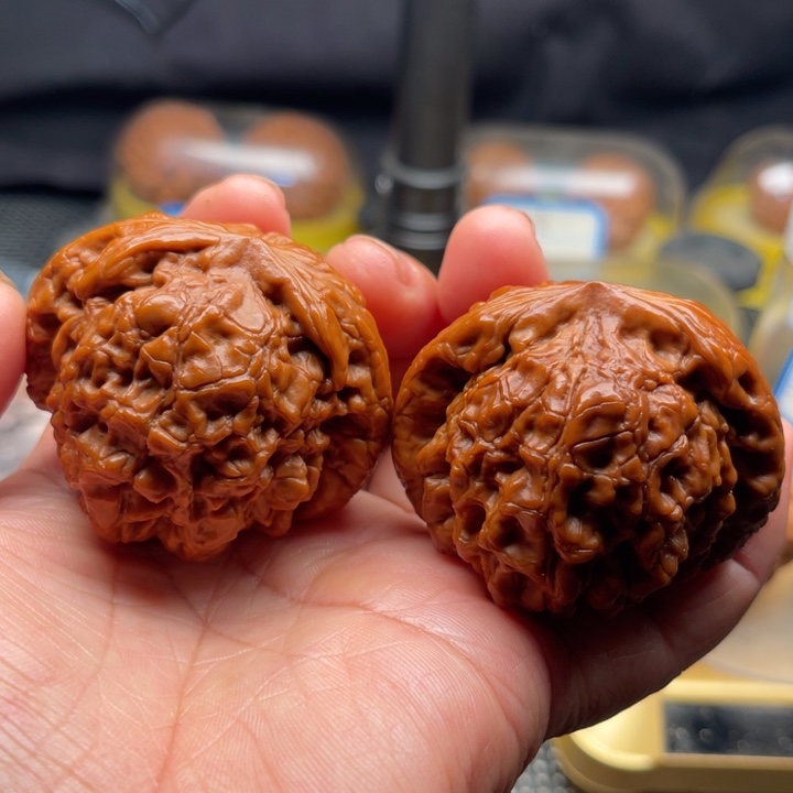 文玩核桃把件全品龙鼎52
