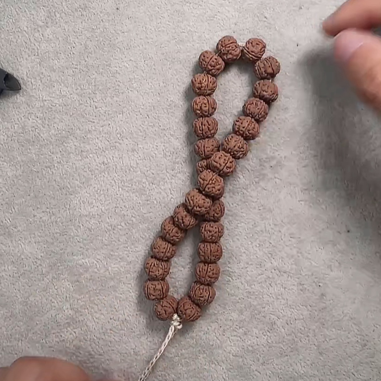 老树王金刚菩提单圈毕业