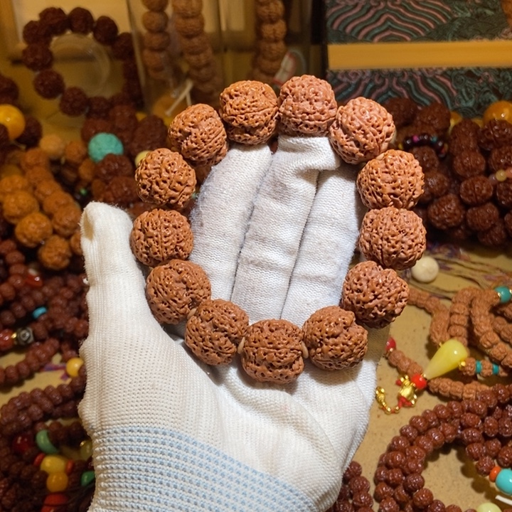 吊坠金刚菩提225原籽蜂王