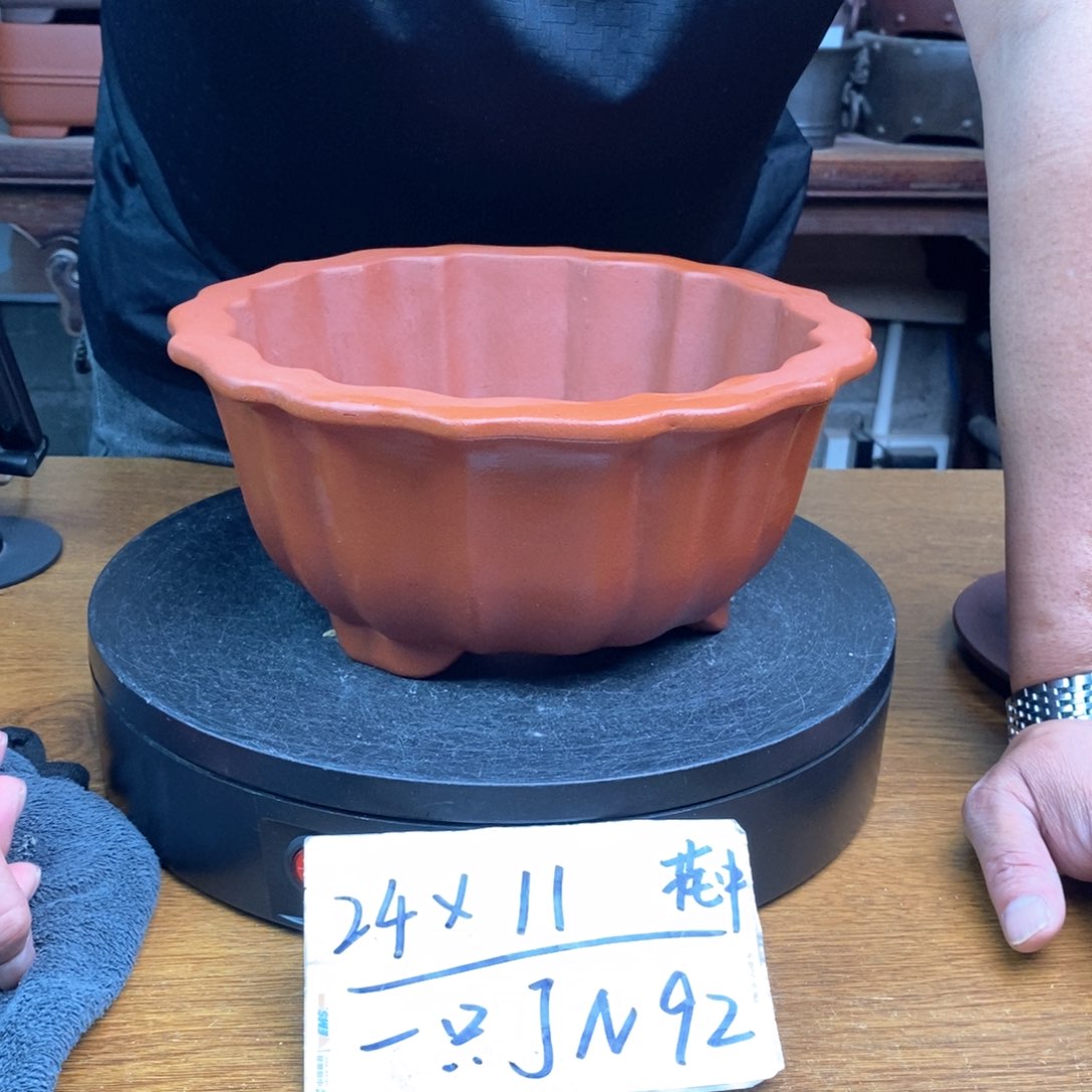 紫砂货号一只JN92