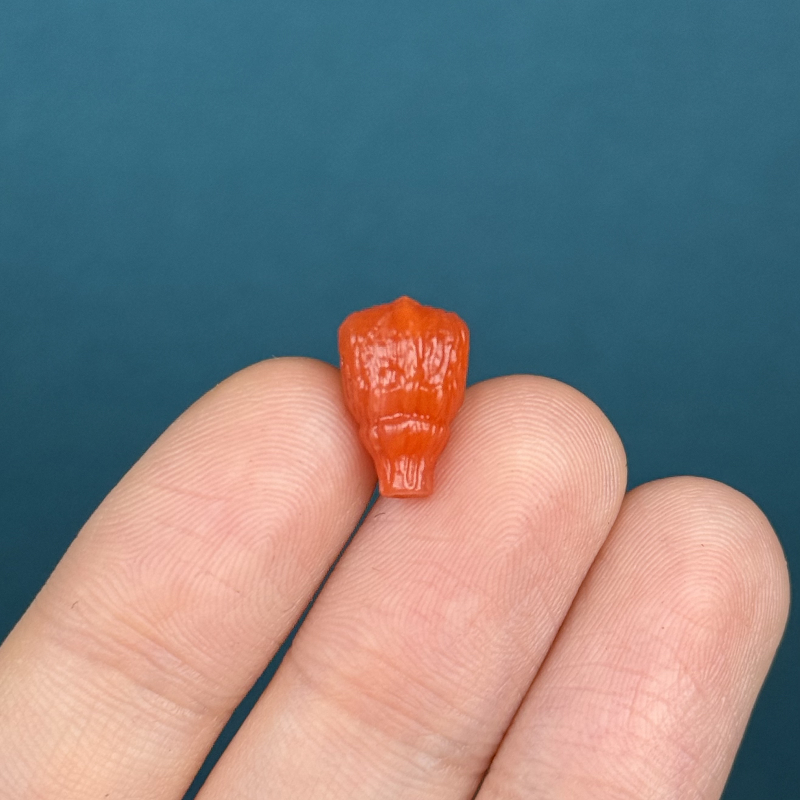 P3930天然南红 鲨鱼背三通 8.6*13.4mm 支持复检假一罚十