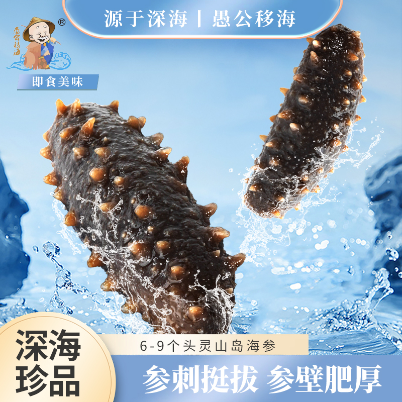 愚公移海 9-10头鲜食海参 1斤/500g装 