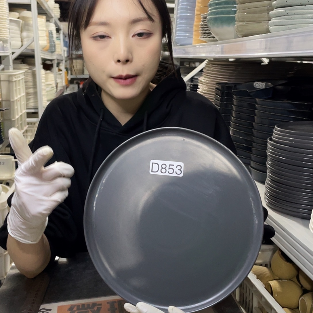 瓷片853               2个