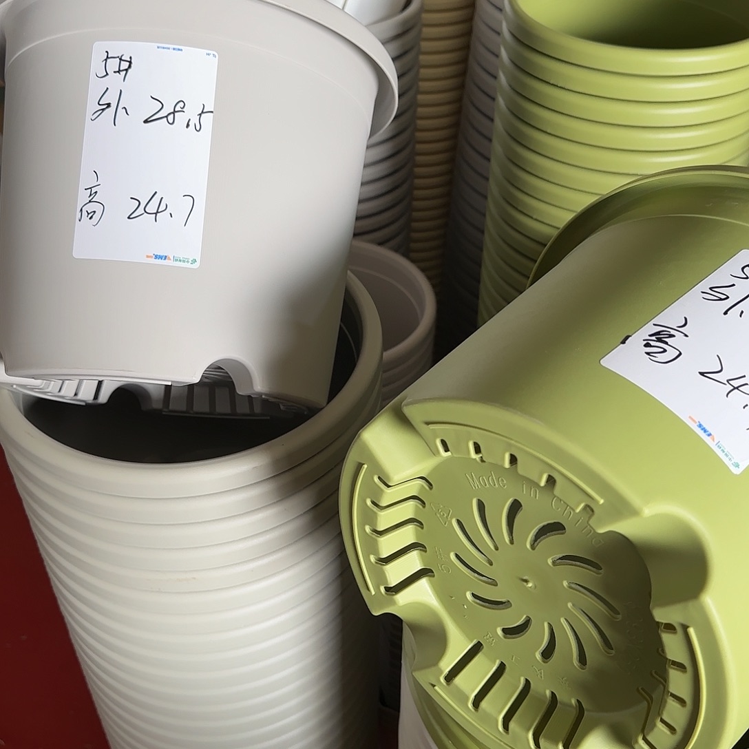 树脂四季5号无托6个果绿微瑕