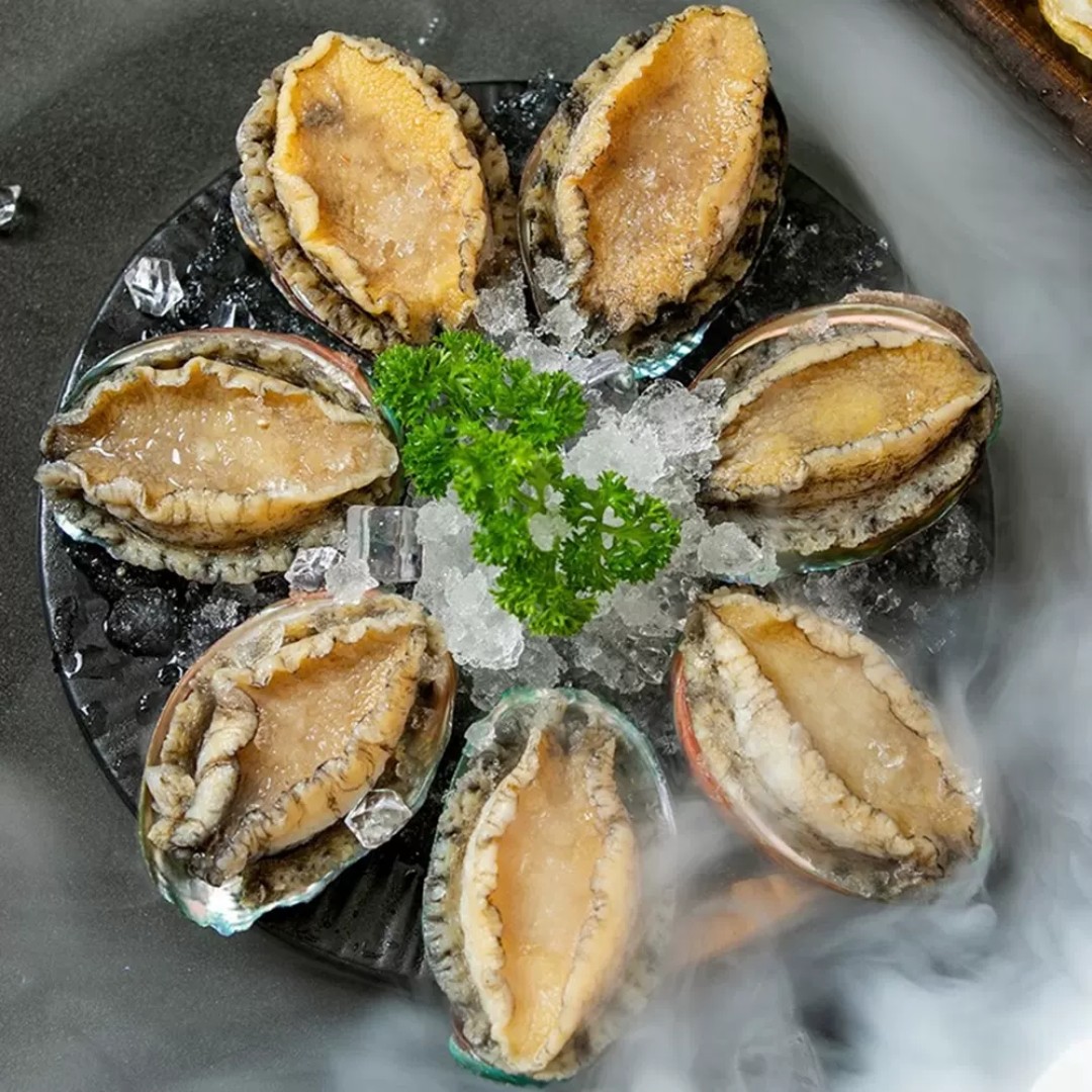 鲜活鲍鱼7头规格（7个/斤）