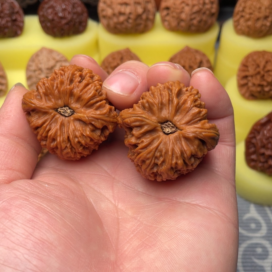 文玩核桃把件40全品老树南疆