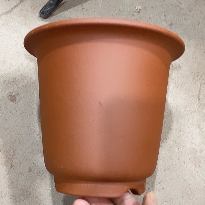 宜兴丁山张伟花盆