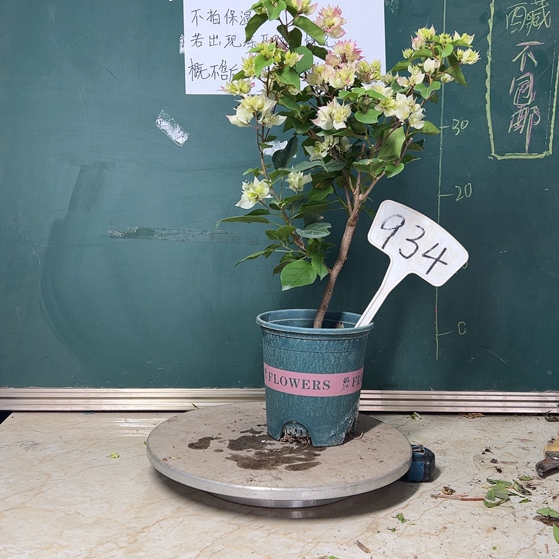 完全开放    怡锦934