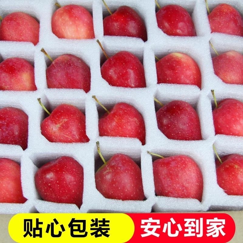 东北鸡心果锦绣海棠酸甜可口脆多汁当季新鲜水果脆酸甜