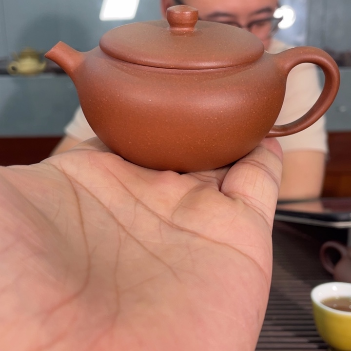 茶壶紫砂哈哈哈哈哈这个综艺节目真的是太棒