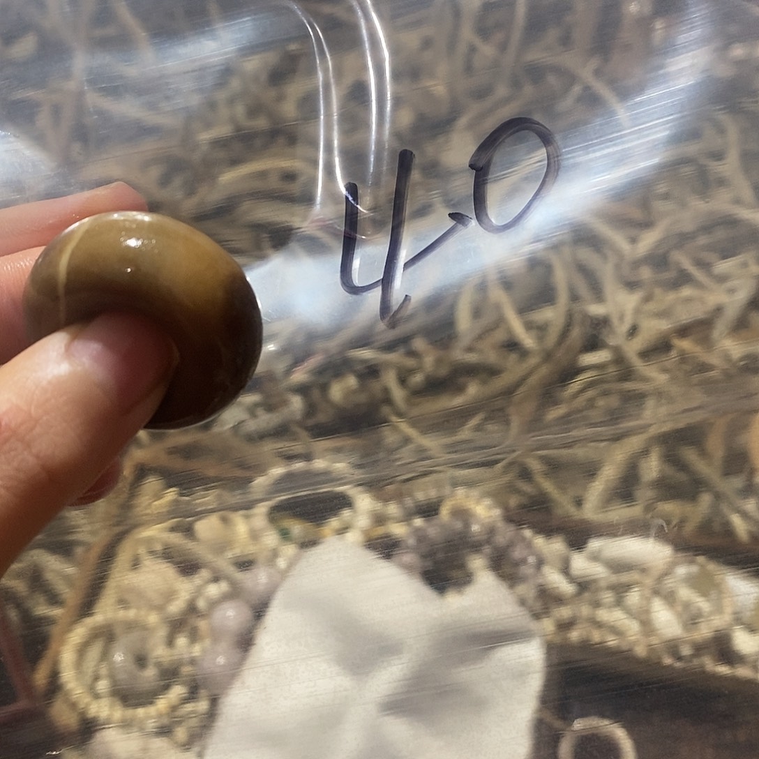 皮***锤非金属鹿角鹿角鹿角