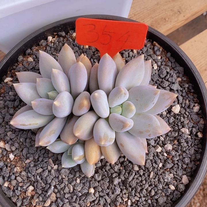 仝***仝我要的东西很多呢哈哈