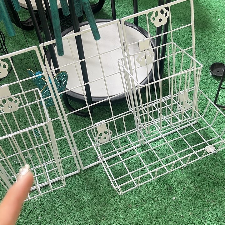 孤品给力啦啦啦啦啦啦啦啦