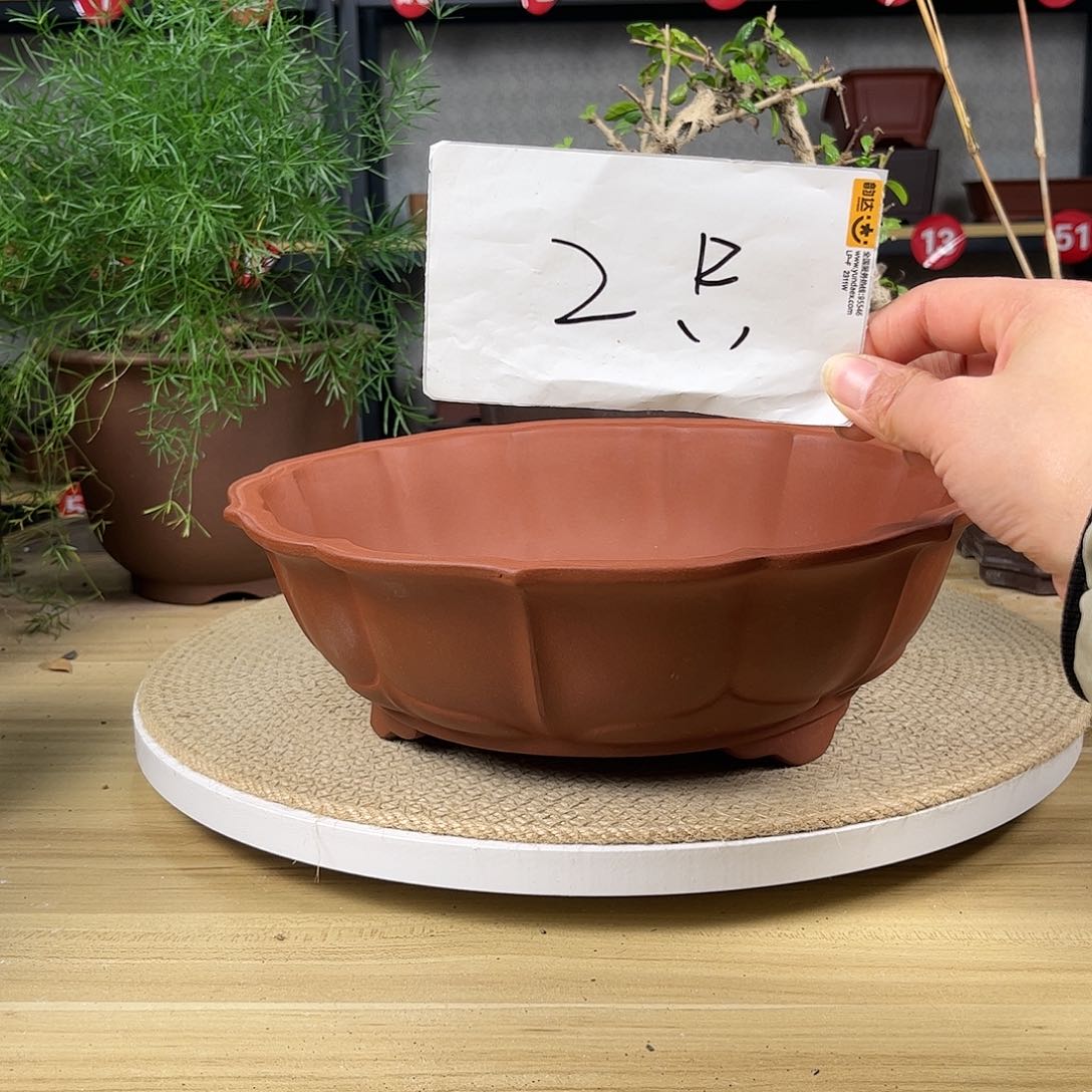 紫砂花盆紫砂花盆